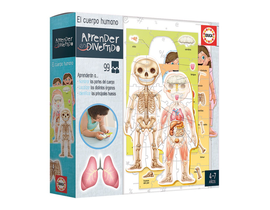 EL CUERPO HUMANO 