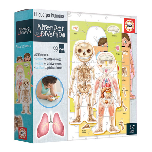 EL CUERPO HUMANO 