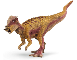 PACHYCEPHALOSAURUS 