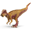 PACHYCEPHALOSAURUS 