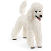CANICHE