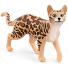 GATO DE BENGALA