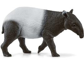 Tapir                                             