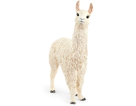 Lama 