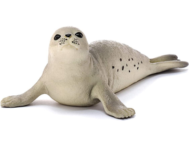 Foca 