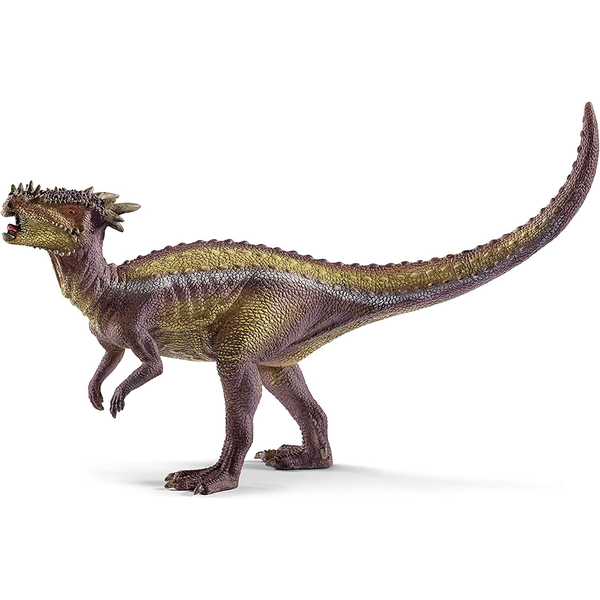Dracorex 
