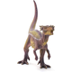 Dracorex 