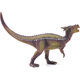 Dracorex 