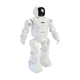 DEVO ROBOT RC 