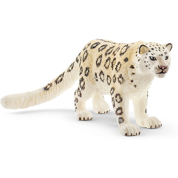 Leopardo de las nieves 