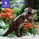 PUZZLE ECO 3D- Tyrannosaurus Rex (Deluxe) 
