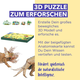 PUZZLE ECO 3D- Triceratops (Deluxe) 
