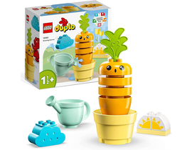 DUPLO, PLANTA DE ZANAHORIA 