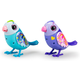 DIGIBIRDS PACK DE 2 Y SU CASITA 